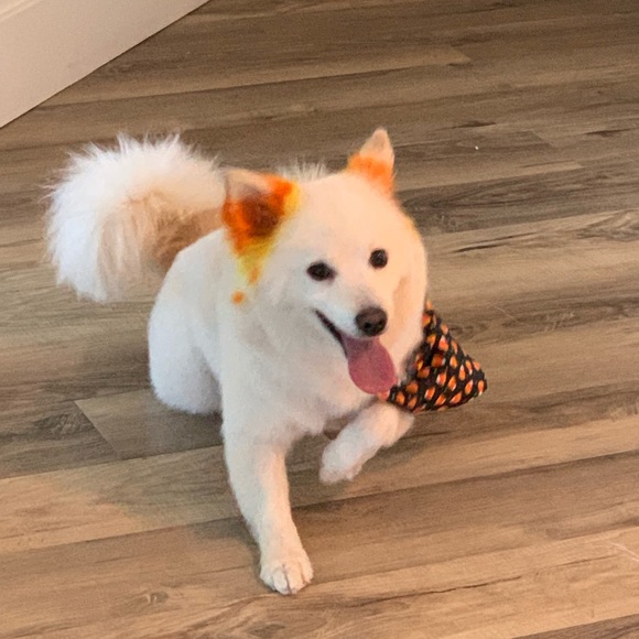 Meet your Posher, Lee - Picture 2 of 2